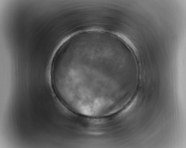 X0000099980941200805301351