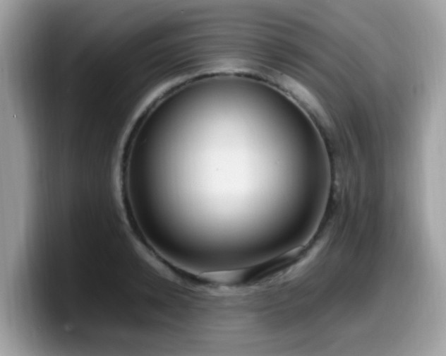 X0000099980942200805301351