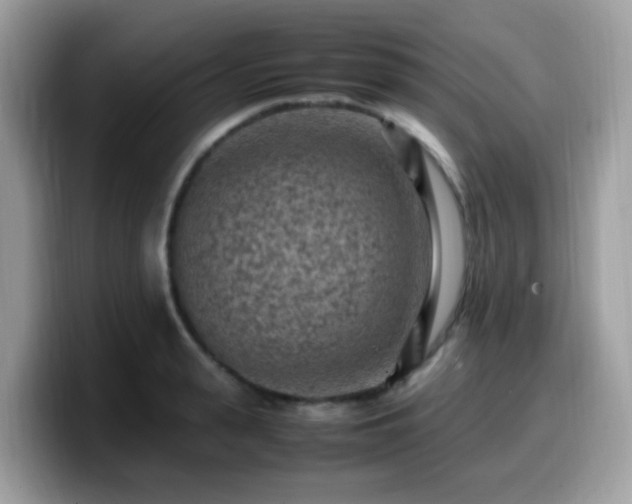 X0000099980943200805301351