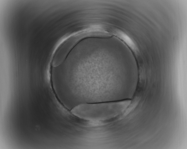 X0000099980944200805301351