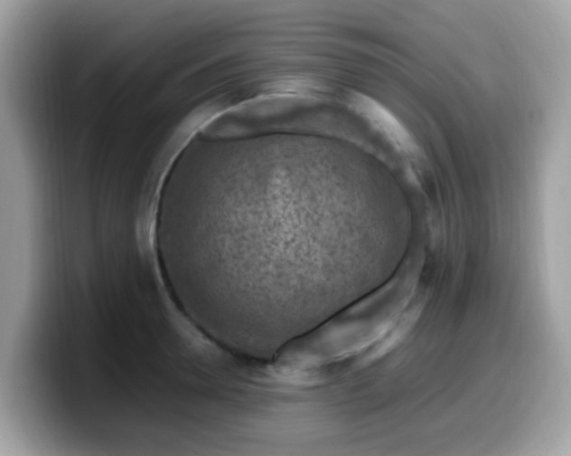 X0000099980946200805301351