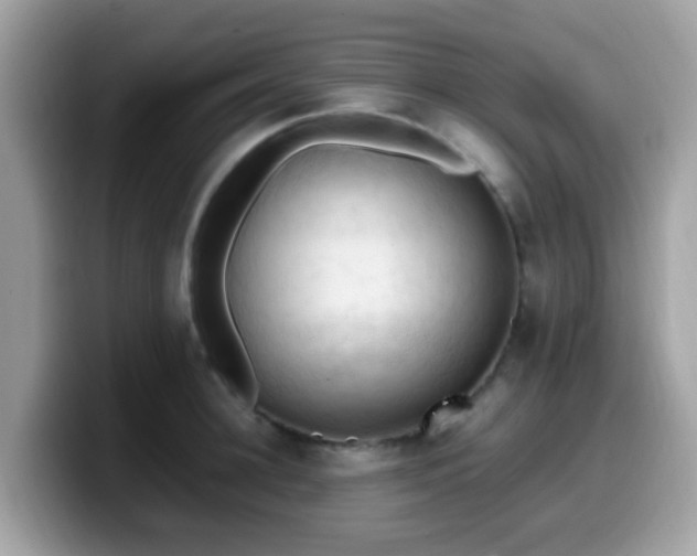 X0000099980948200805301351