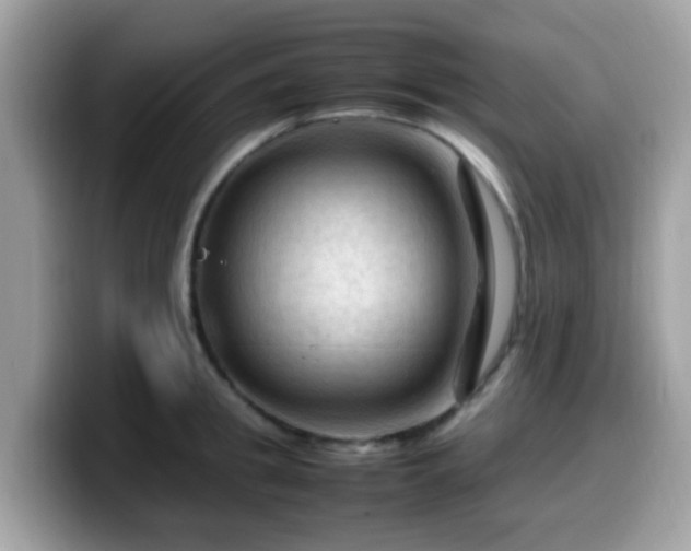 X0000099980949200805301351