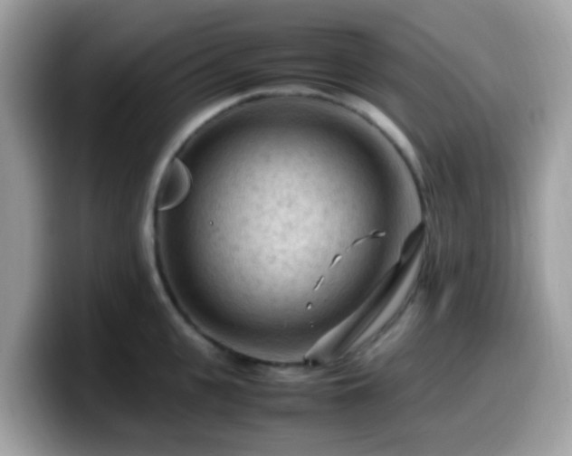 X0000099980951200805301351