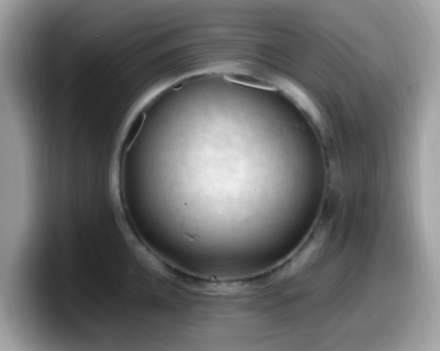 X0000099980952200805301351