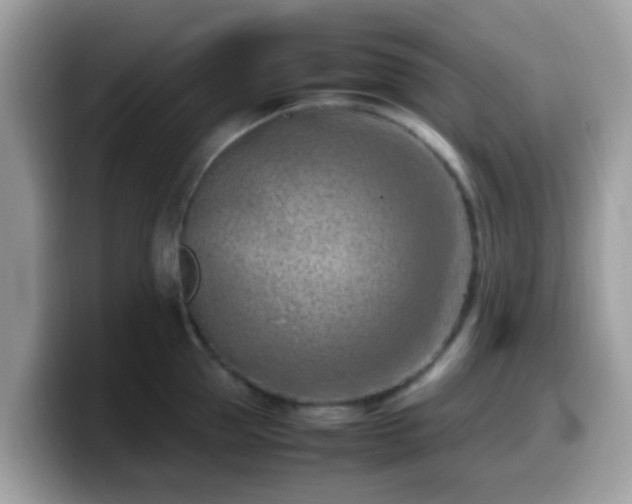 X0000099980953200805301351