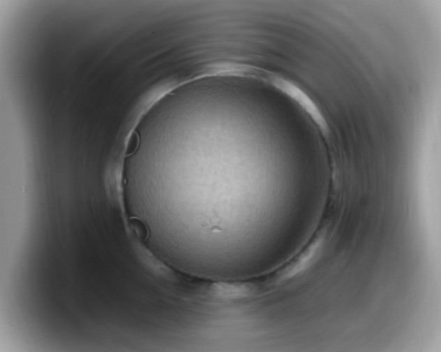 X0000099980954200805301351