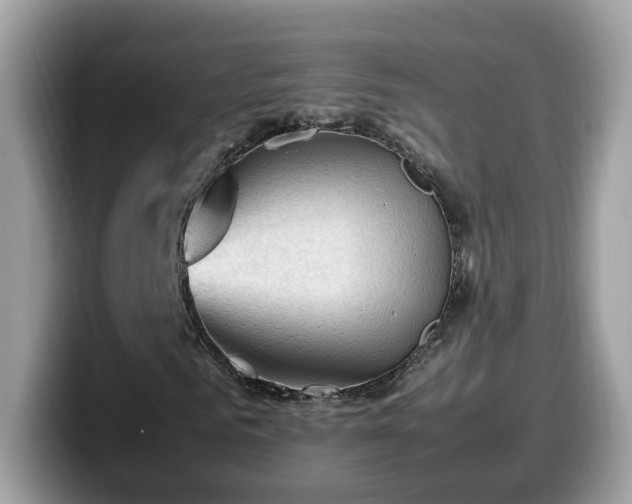 X0000099980961200805301350