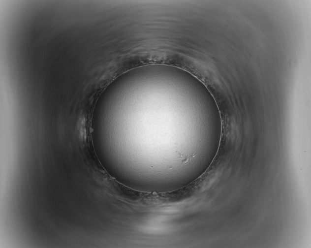 X0000099980962200805301350