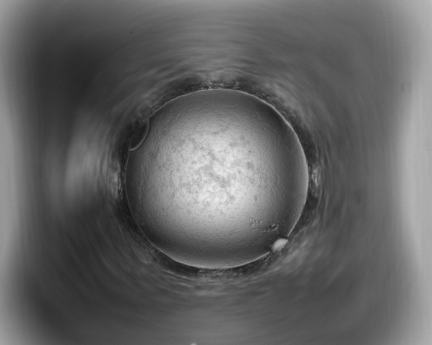 X0000099980963200805301350