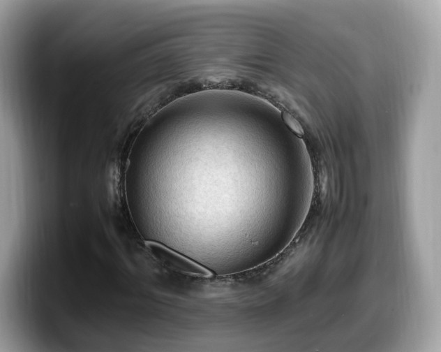 X0000099980964200805301350