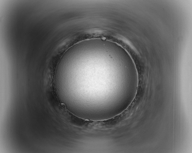 X0000099980967200805301350