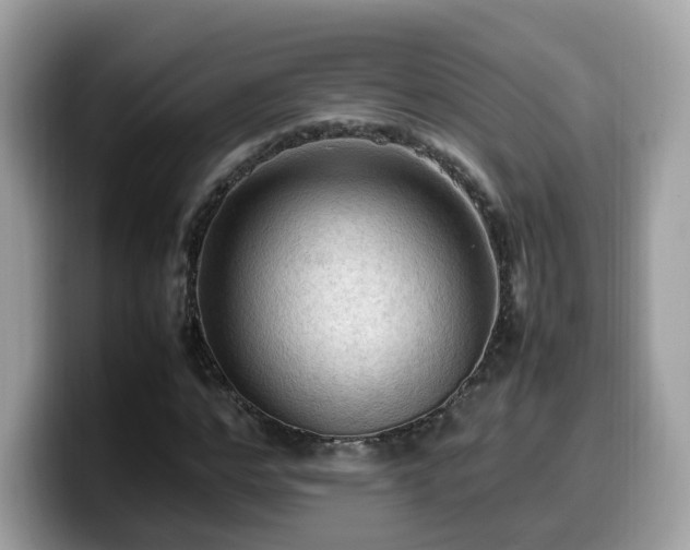 X0000099980968200805301350