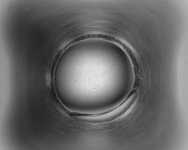 X0000099980969200805301350