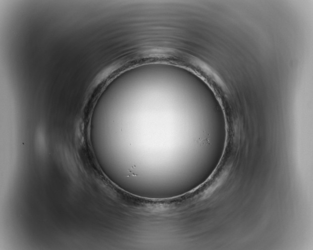 X0000099980970200805301350