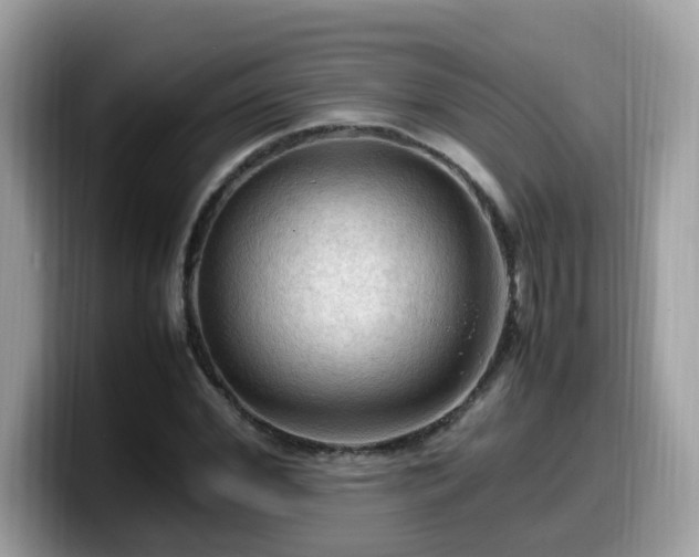 X0000099980972200805301350