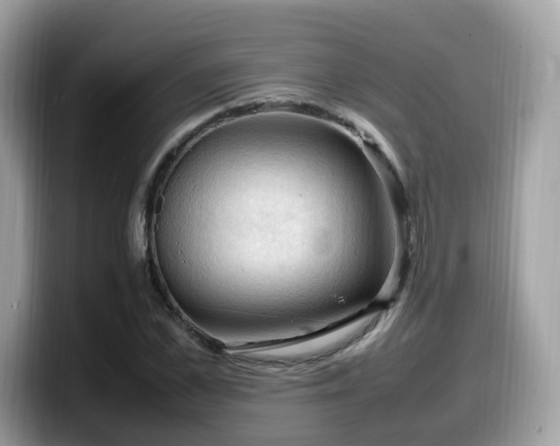 X0000099980973200805301350