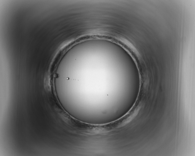 X0000099980974200805301350