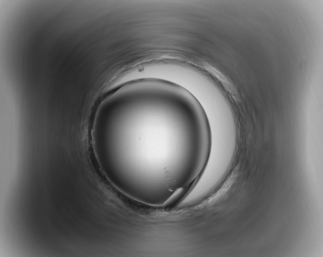 X0000099980977200805301350