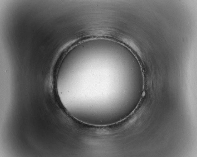 X0000099980979200805301350