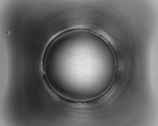 X0000099980980200805301350