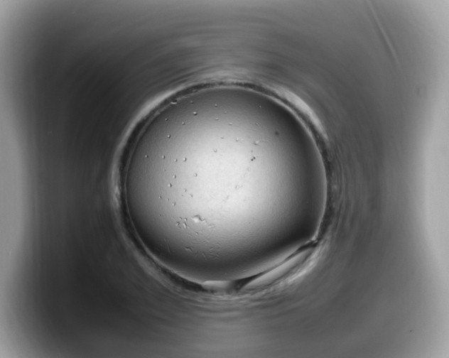 X0000099980981200805301350