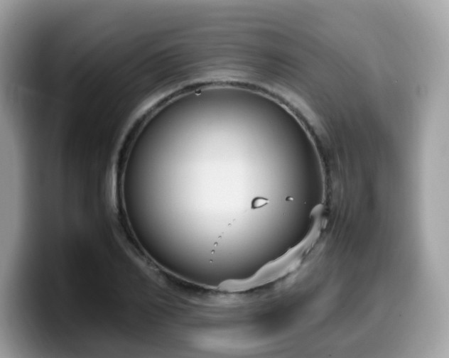 X0000099980982200805301350