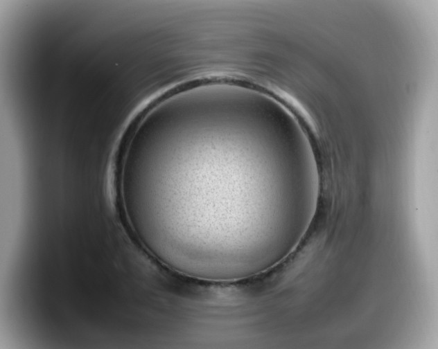 X0000099980983200805301350