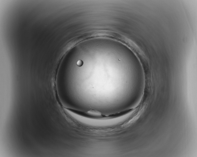 X0000099980985200805301350