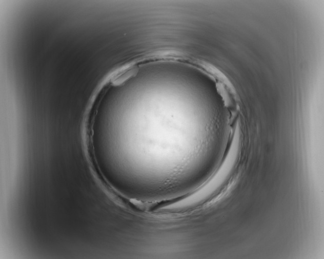 X0000099980989200805301350