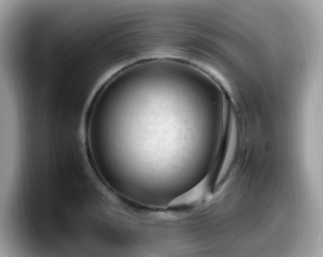 X0000099980990200805301350