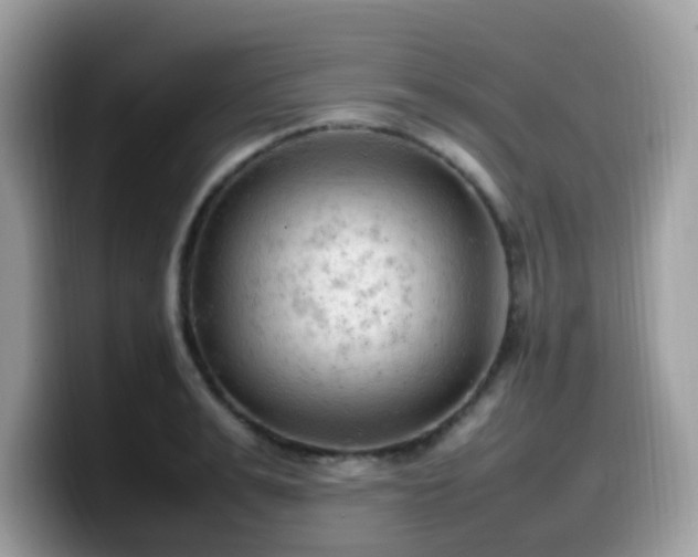X0000099980991200805301350