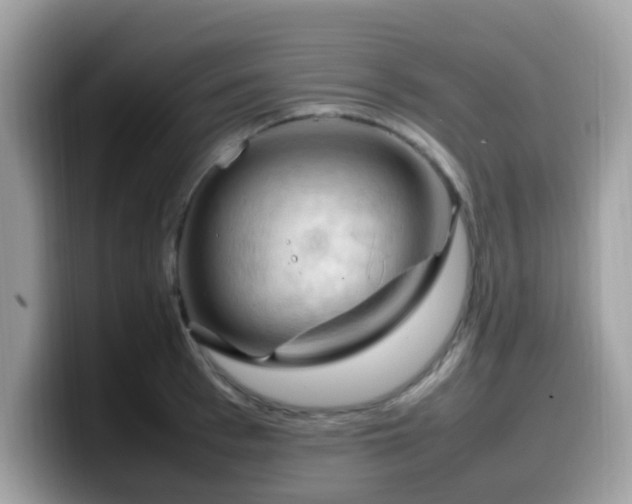 X0000099980993200805301350
