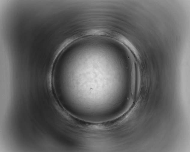X0000099980994200805301350