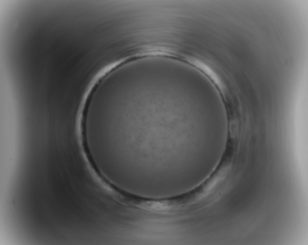 X0000099980995200805301350