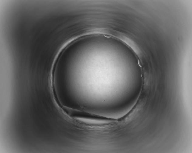 X0000099980996200805301350