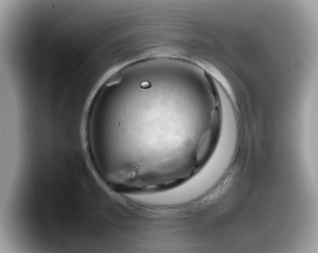 X0000099980997200805301350