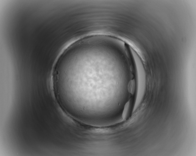 X0000099980998200805301350
