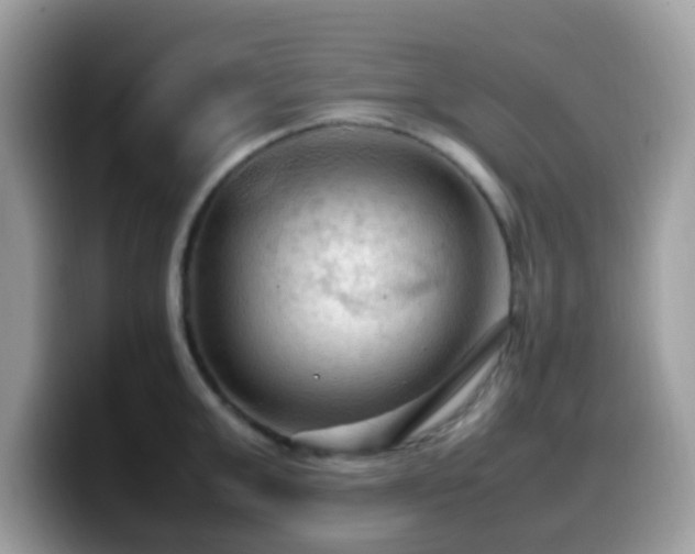 X0000099980999200805301350