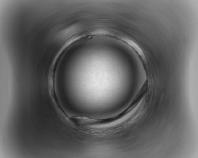 X0000099981000200805301350