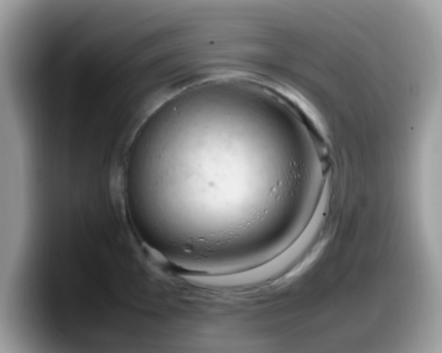 X0000099981001200805301350