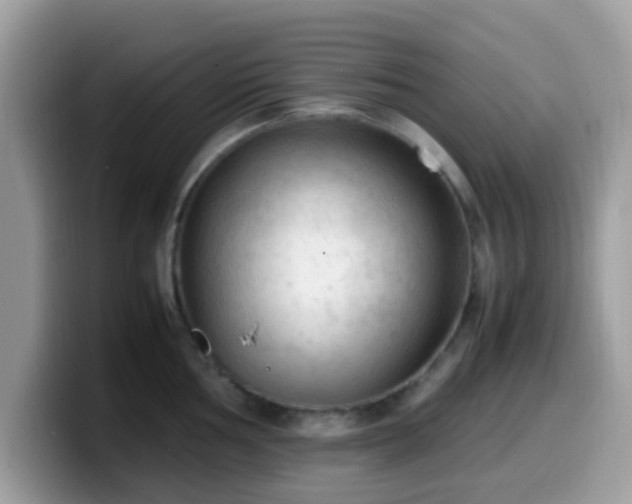 X0000099981002200805301350