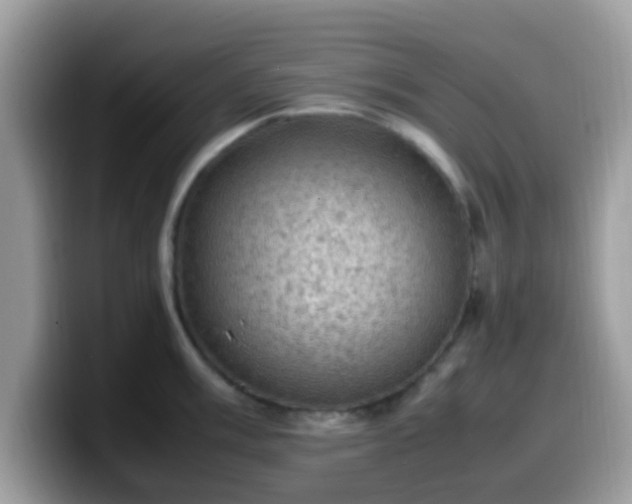 X0000099981003200805301350