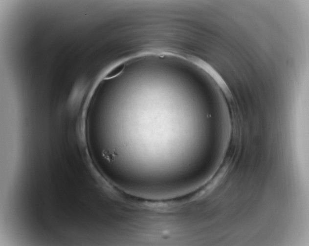 X0000099981004200805301350