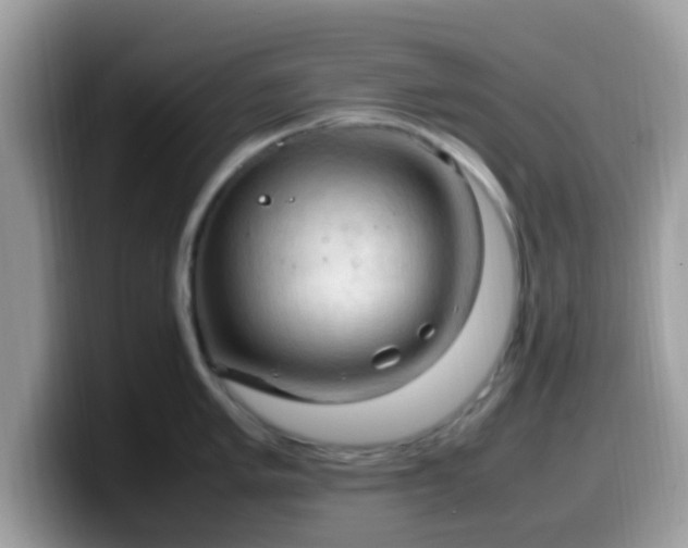 X0000099981005200805301350