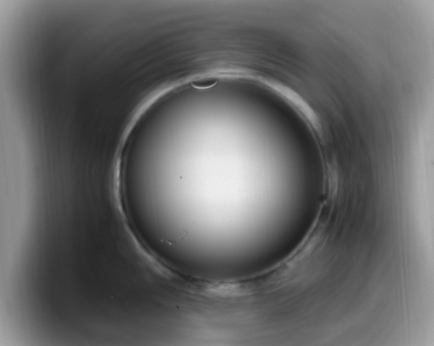 X0000099981006200805301350