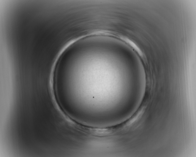 X0000099981007200805301350