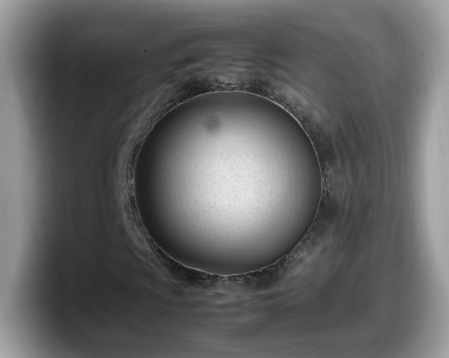 X0000099981009200805301349