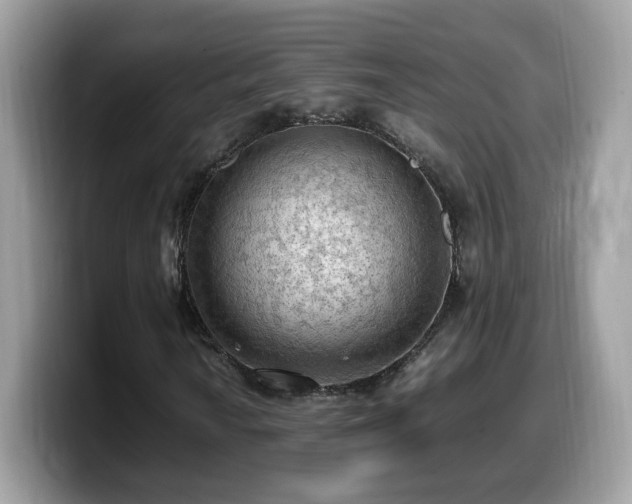 X0000099981010200805301349