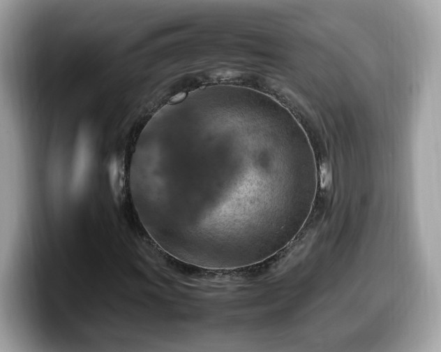 X0000099981011200805301349